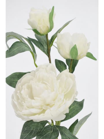 Kunsttak ''Peony Evalyn'' groen/wit - (L)90 cm