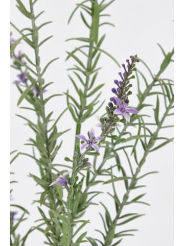 Kunstzweig ''Lavender Lally'' in Grün/ Lila - (L)78 cm
