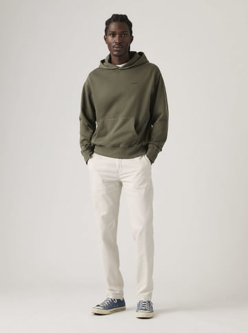 Chino in Creme
