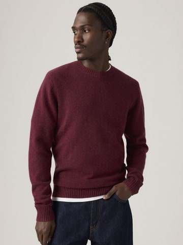 Pullover in Bordeaux