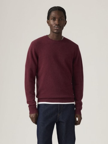 Sweter w kolorze bordowym