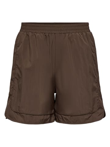 Short bruin