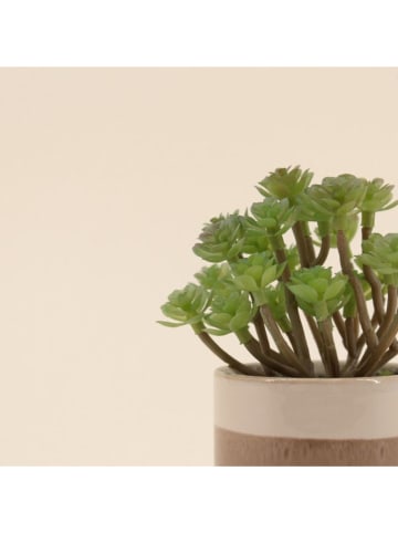Kunstpflanze in Grün/ Braun - (H)13 cm 