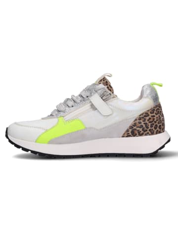 Sneakers wit/grijs/groen