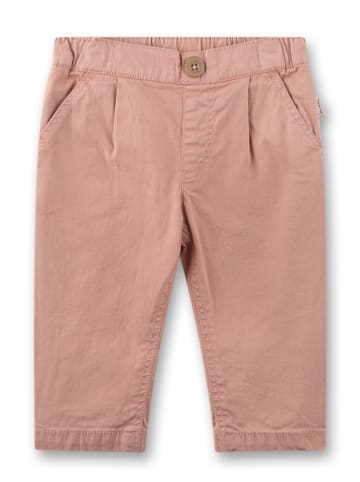 Chino in Rosa