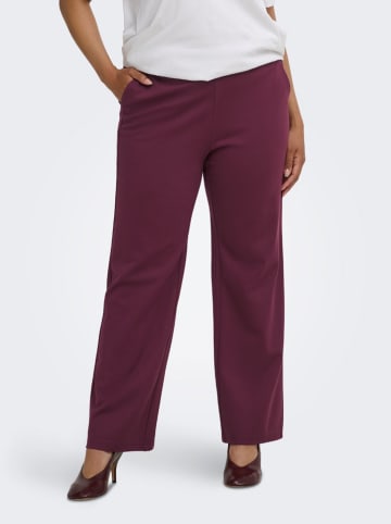 Broek bordeaux