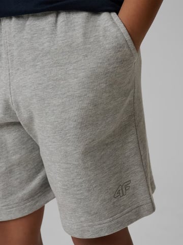 Shorts in Grau