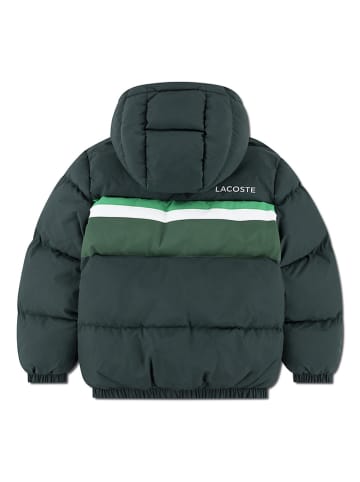 Winterjas groen