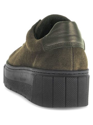 Leren sneakers kaki