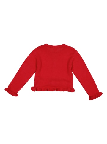 Vest rood