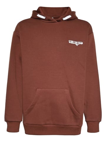 Hoodie in Hellbraun