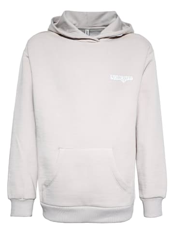 Hoodie in Grau