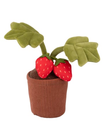 Türstopper ''Strawberries'' in Bunt - (L)30 cm