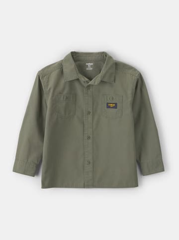 Koszula w kolorze khaki