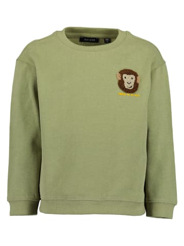 Sweatshirt in Grün
