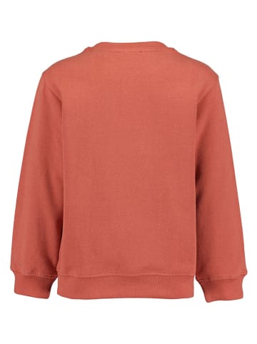 Sweatshirt in Koralle