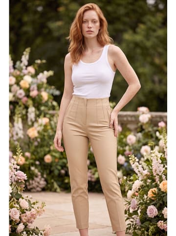 Hose in Beige