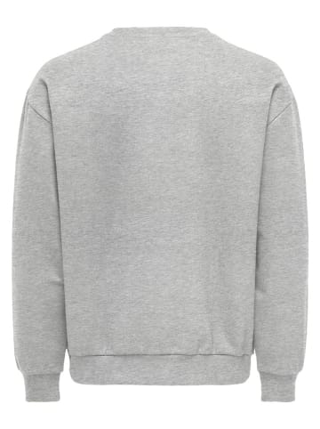 Sweatshirt "Dane" lichtgrijs