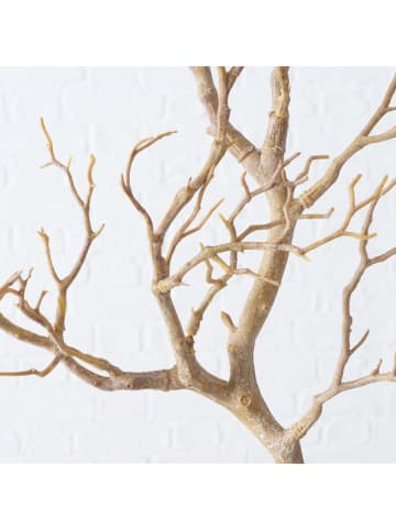 Gałązka dekoracyjna "Driftwood" w kolorze beżowym - wys. 93 cm
