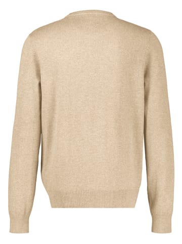 Trui beige