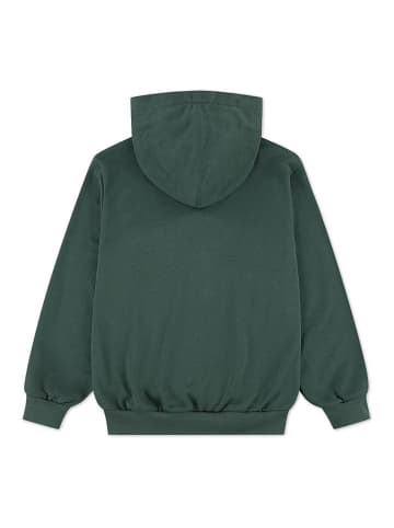 Hoodie in Grün