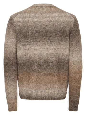 Trui "Mack" bruin/beige