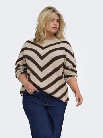 Pullover in Beige