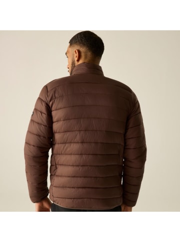 Steppjacke "Marizion" in Braun