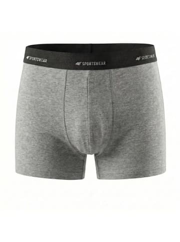 2er-Set: Boxershorts in Grau