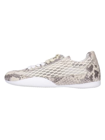 Skórzane sneakersy "Sloane 6" w kolorze beżowym