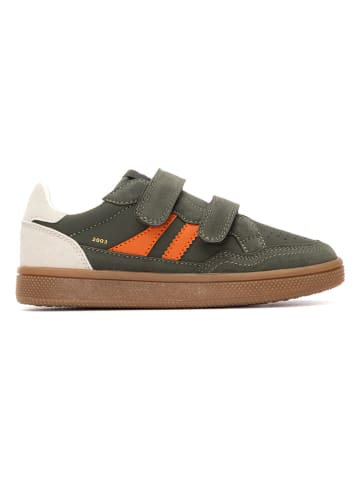 Sneakers kaki