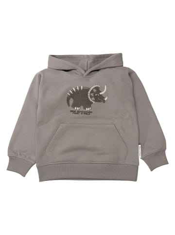 Hoodie grijs