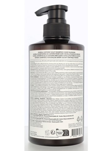 Shampoo "Caffeine", 500 ml