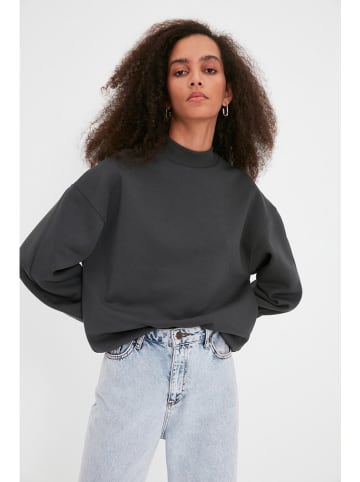 Sweatshirt in Anthrazit