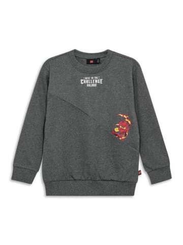 Sweatshirt grijs