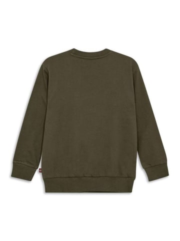 Sweatshirt in Khaki