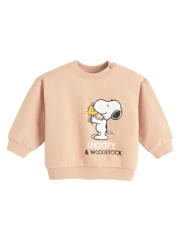 Bluza w kolorze pomarańczowym