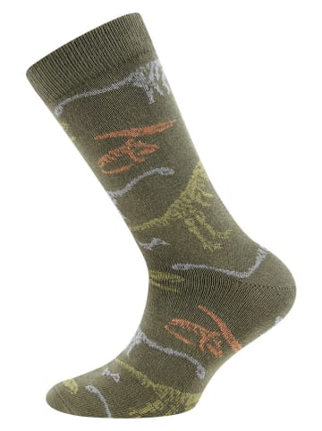 Skarpety "Dinos" w kolorze khaki