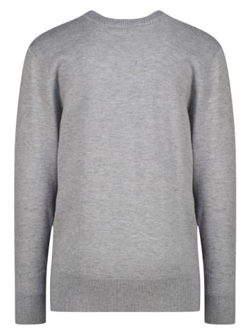 Sweter w kolorze szarym