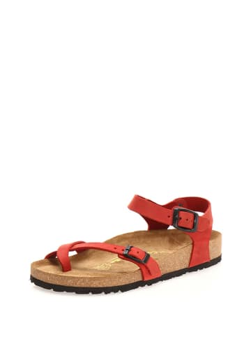 Leder-Zehensandalen in Rot