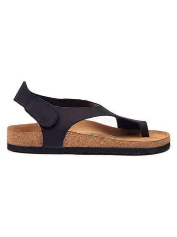 Leder-Zehensandalen in Schwarz