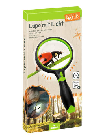 Lupa w kolorze czarno-zielonym
