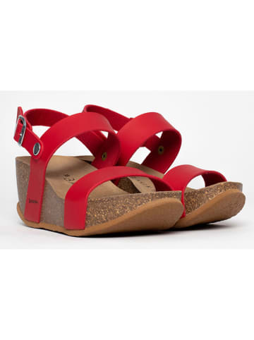 Sleehaksandalen rood