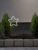 STAR Trading Ledtuinsteker "Neonstar" koudwit - (B)22 x (H)60 cm
