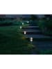 näve 8er-Set: LED-Solar-Gartenstecker  in Silber - (B)9 x (H)39,5 cm