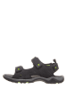 CMP Leder-Trekkingsandalen in Schwarz