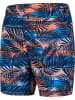 Speedo Zwemshorts "Vintage Paradise" blauw/meerkleurig