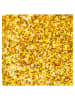 folia PAPER Glitzerkarton in Bunt - 5 Blatt - (L)24,5 x (B)17,4 cm