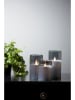 STAR Trading LED-Windlicht "M-Twinkle" in Schwarz - (H)12,5 x Ø 7,5 cm