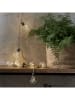STAR Trading Ledlichtketting "Jutta" beige/transparant - (L)225 cm